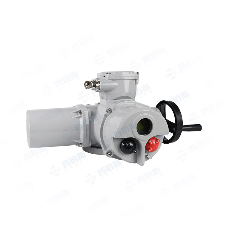 ZB10ZH-ZB30ZH防爆智能型