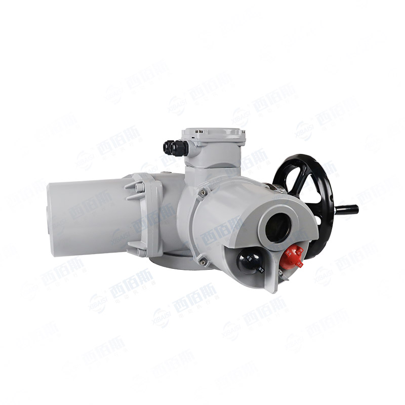 Z45ZH-Z250ZH-普通智能型